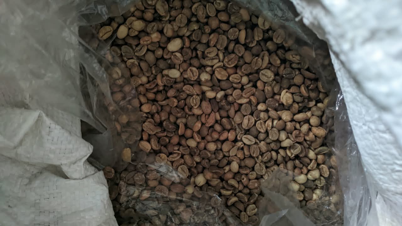Green Bean Robusta Logawa